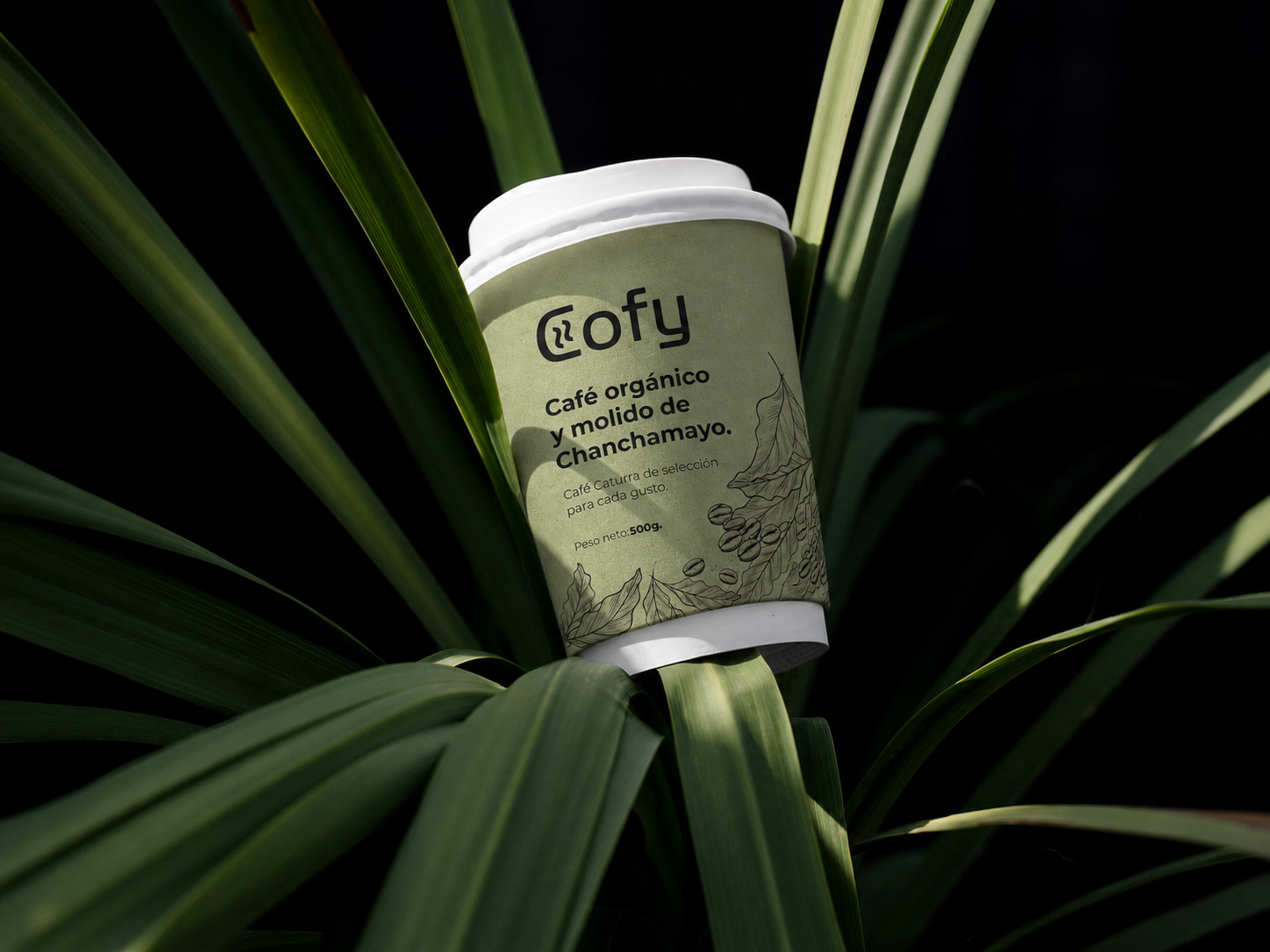 Aplicación 03 del proyecto Cofy.